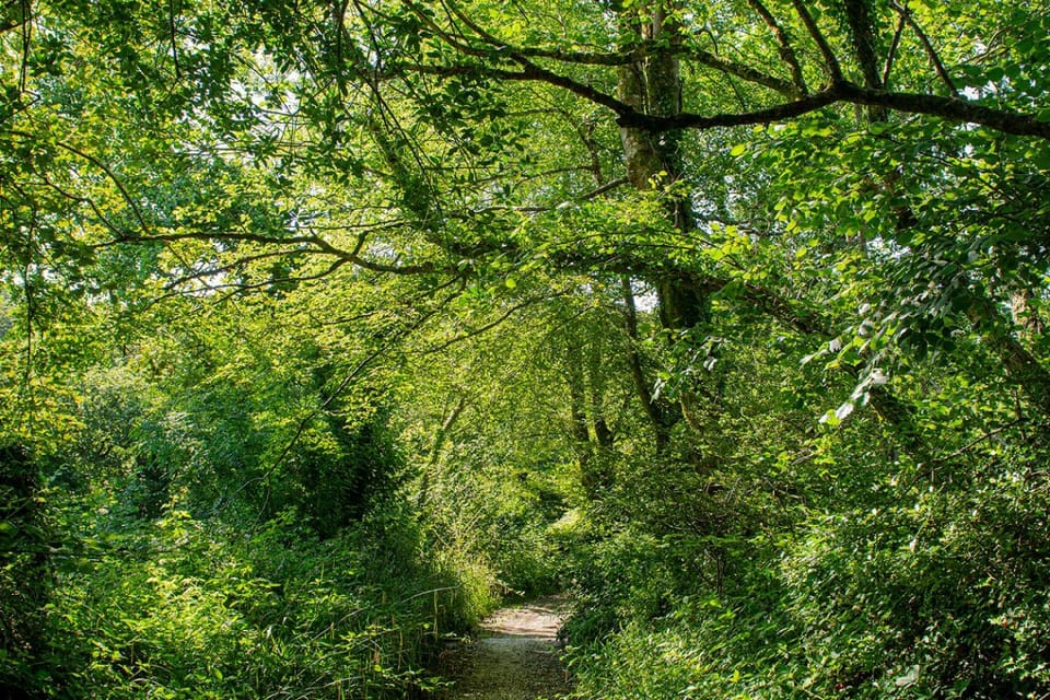 Natural landscape