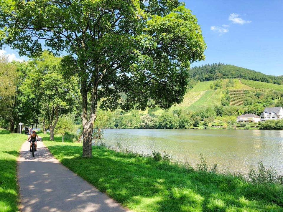 Natural landscape, Cycling