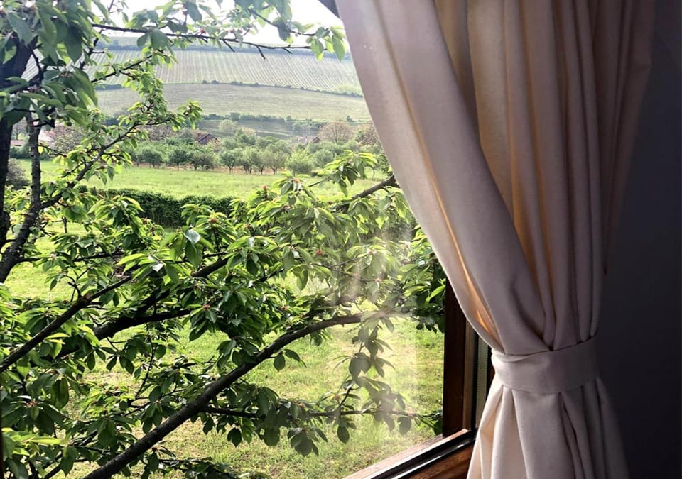 Natural landscape, Garden, View (from property/room), Garden view