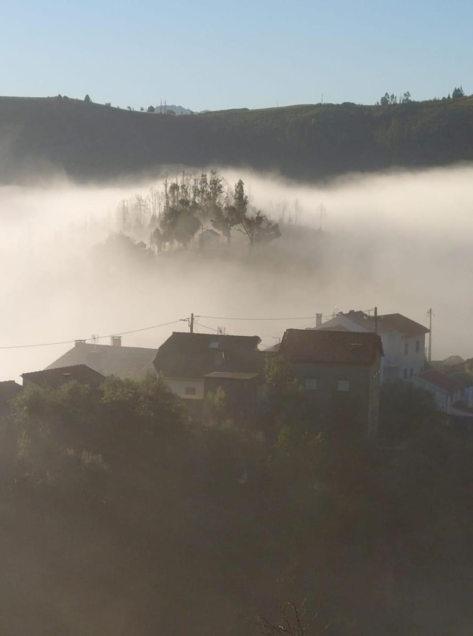 Casa da Carvalha - Ádela House in Coimbra District, Portugal