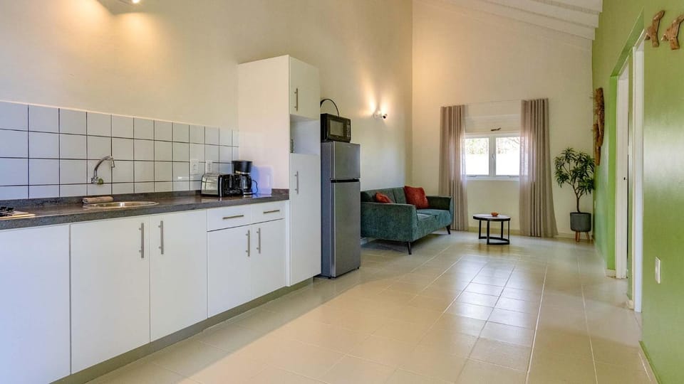 Kitchen or kitchenette, stove, kitchen, kitchen