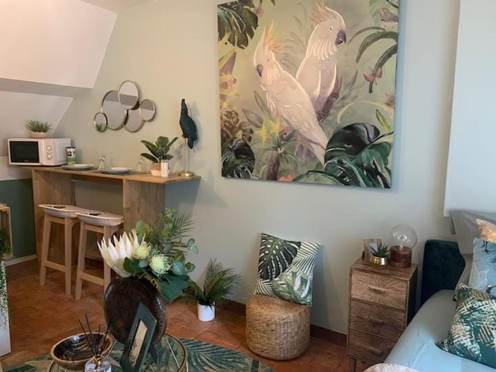 Escale Tropicale à Blois Apartment in Blois