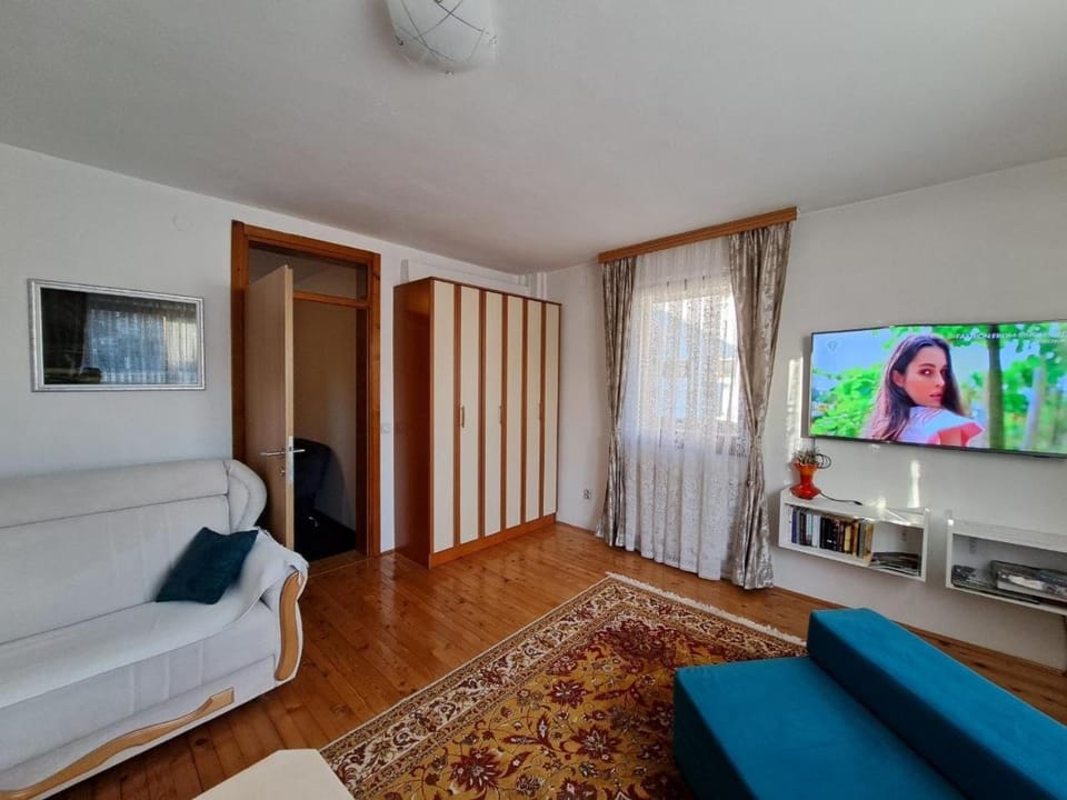 Living room, Photo of the whole room