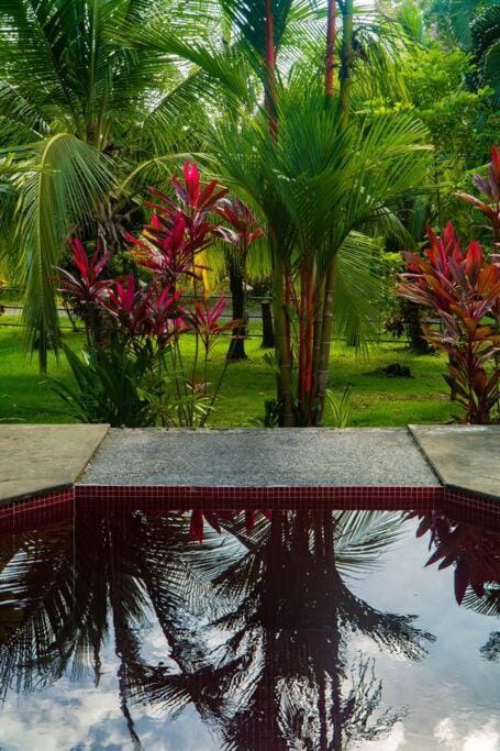 Walk to the beach, chill by the pool. Casa Sol! Villa in Puntarenas Province