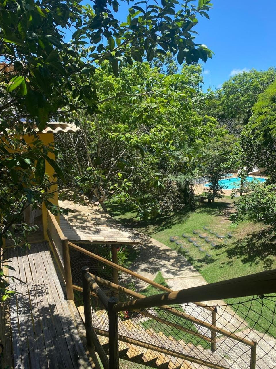 Natural landscape, Garden, Pool view