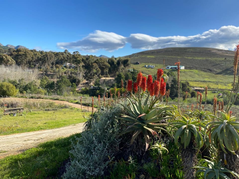 Red Aloe Farm House in Western Cape