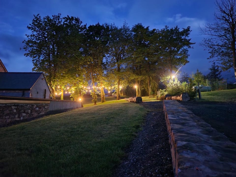 Night, Natural landscape