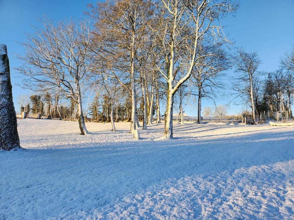 Natural landscape, Winter