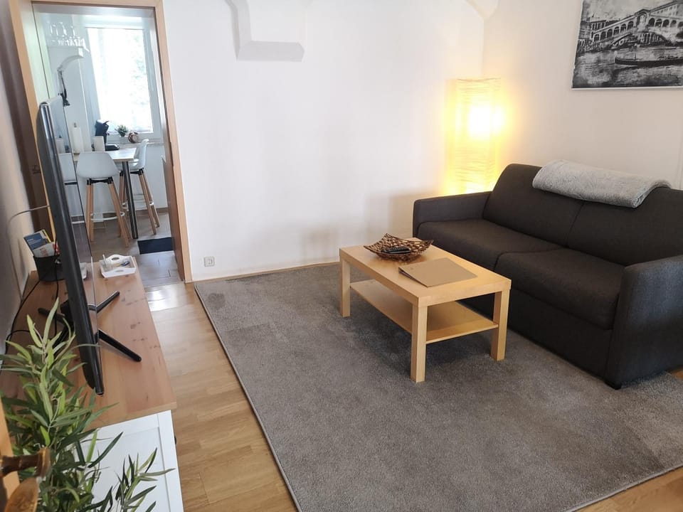 Gemütliche Ferienwohnung Apartment in Saxony