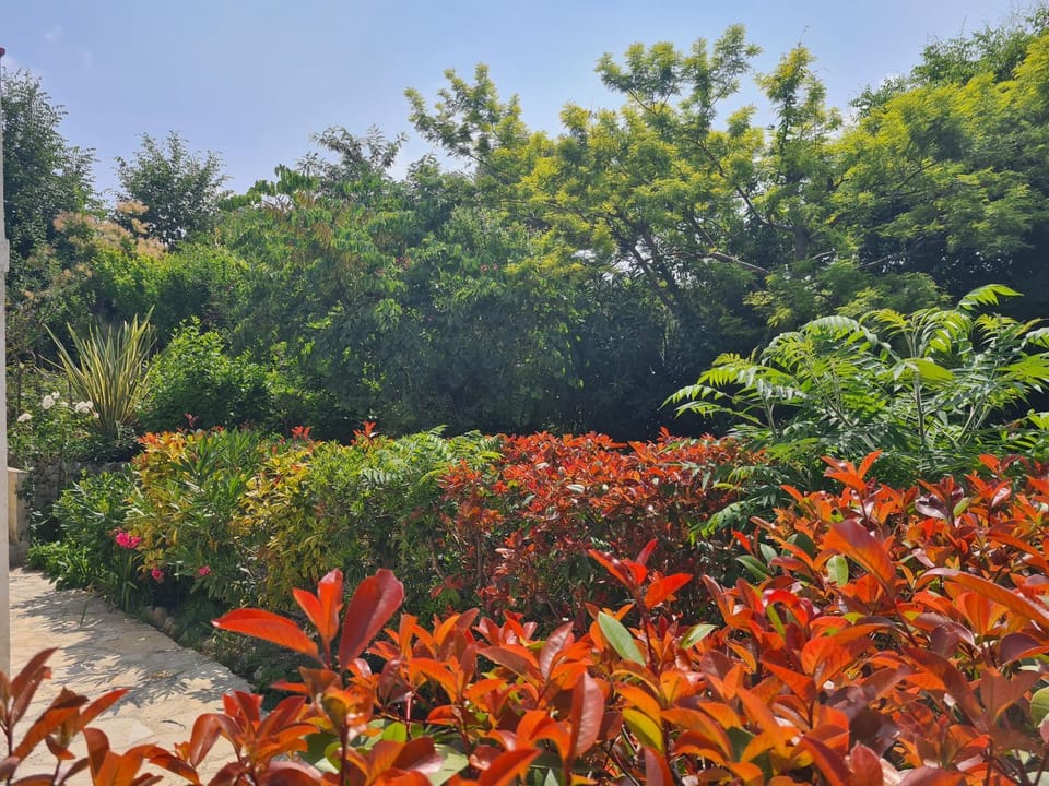 Appartement Alpes Maritimes Apartment in Saint Paul de Vence