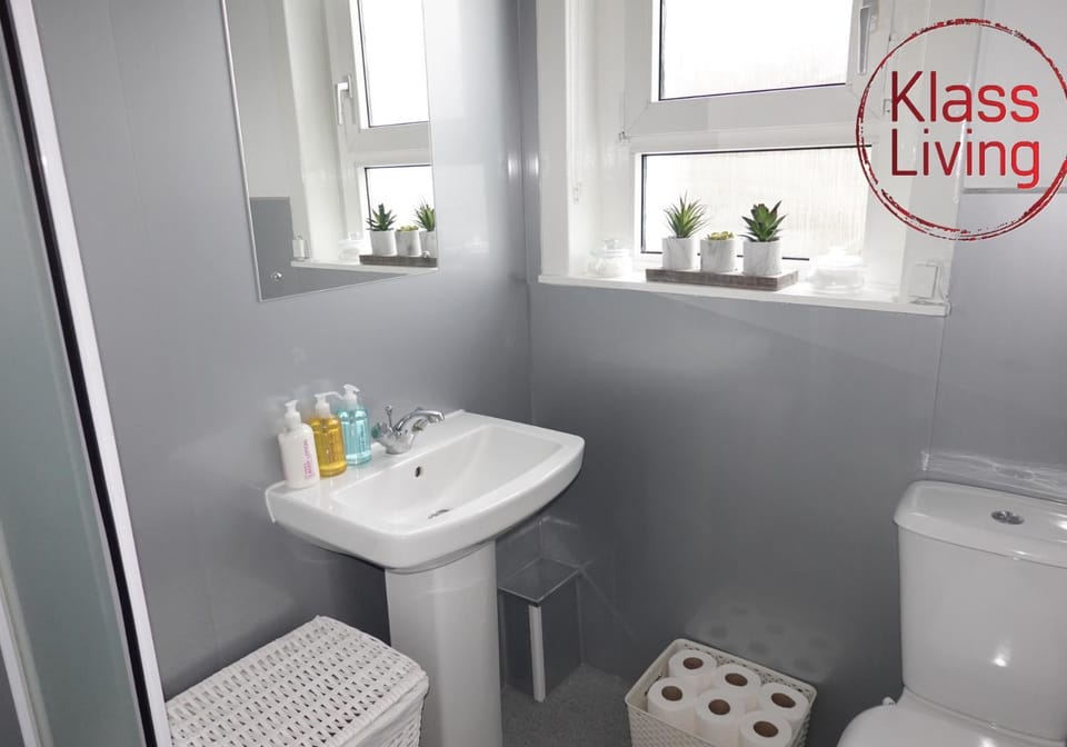 Shower, Toilet, Bathroom, Decorative detail, Guests, group of guests, Family