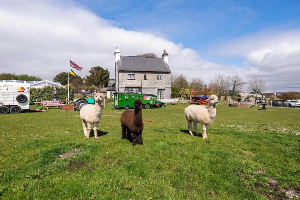 Property building, Animals