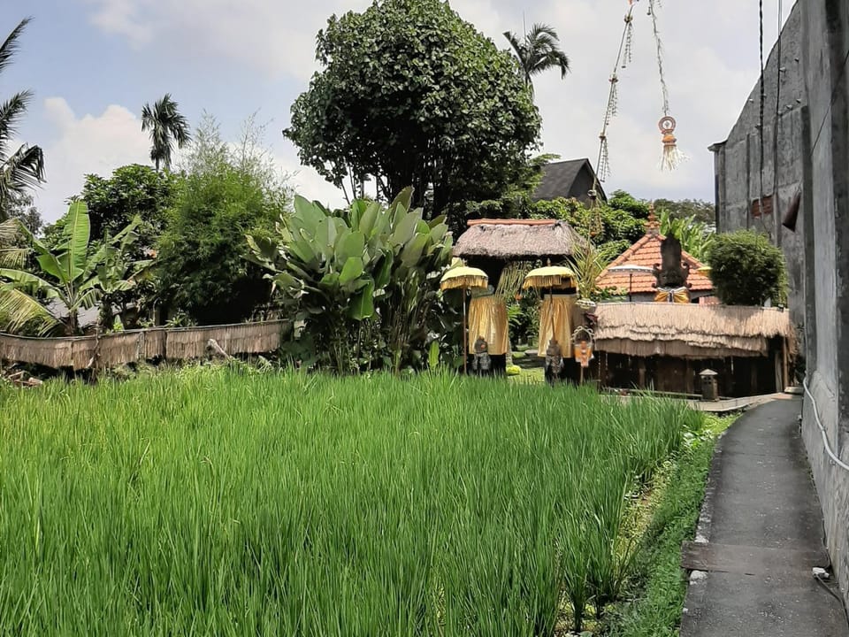 Property building, Spring, Natural landscape