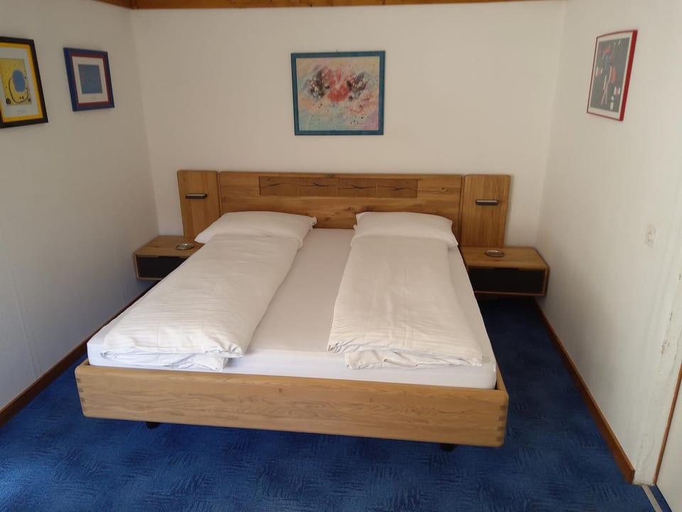 Hotel Gotthard Bed and Breakfast in Switzerland