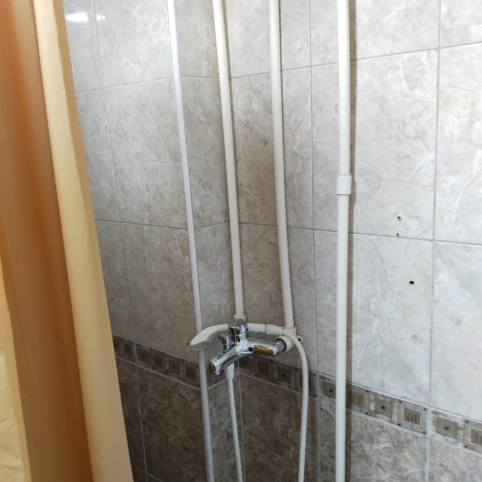 Vila Suzana Apartment in Serbia