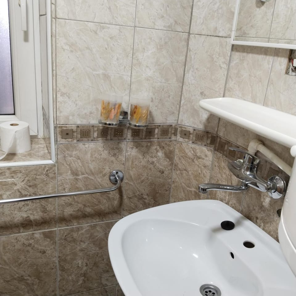 Vila Suzana Apartment in Serbia