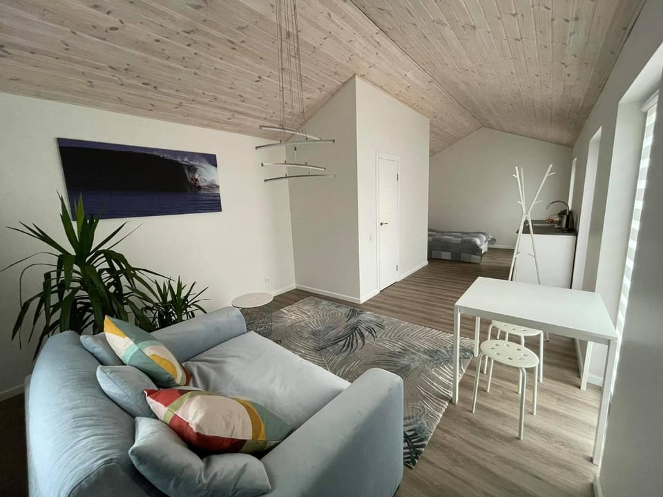 ROKO house Apartment in Lithuania
