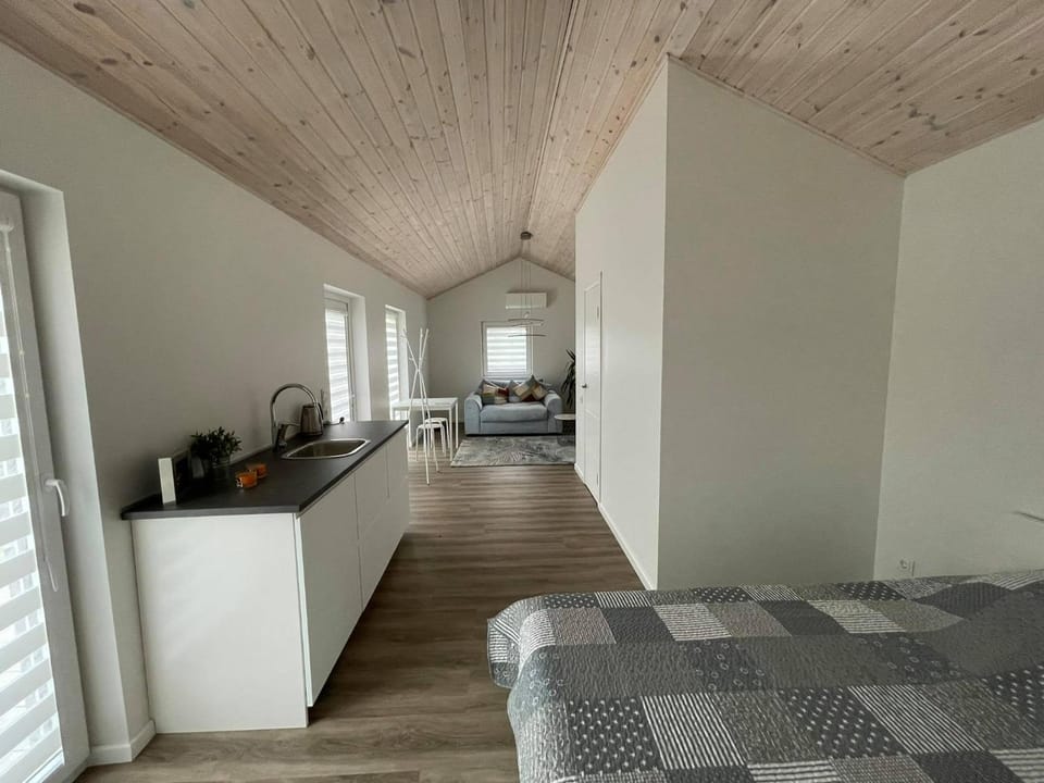 ROKO house Apartment in Lithuania