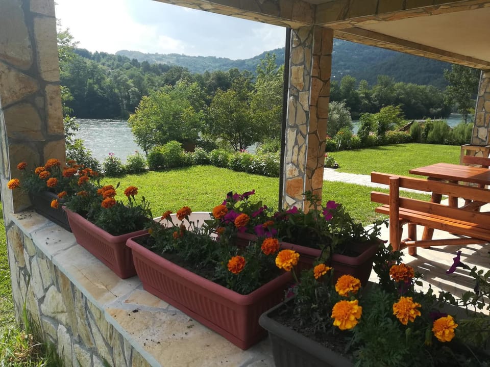 Natural landscape, View (from property/room), Garden view, River view