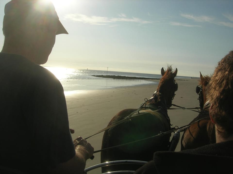 People, Animals, Sunrise, Sunset