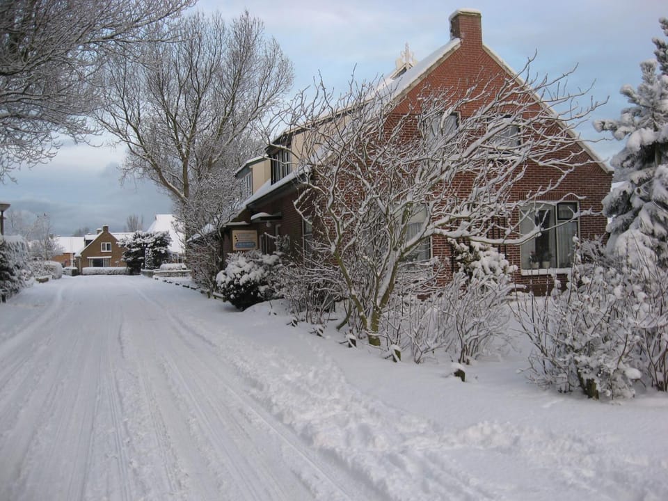 Property building, Neighbourhood, Winter