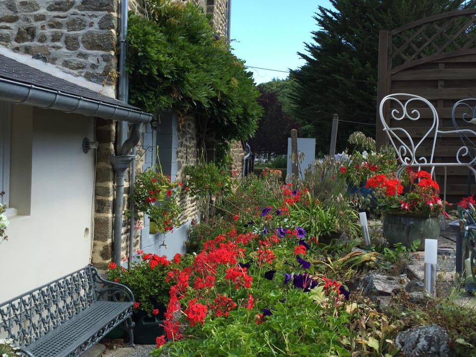 Property building, Garden, Garden view