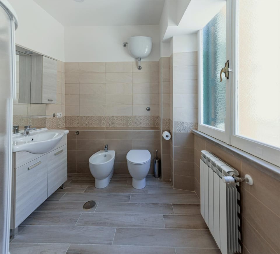 Shower, Toilet, Bathroom, bidet