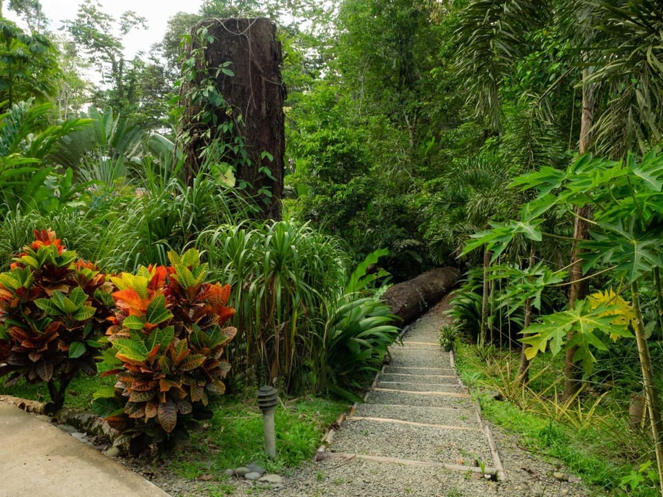 Garden view