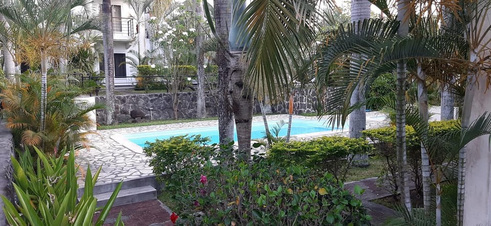 Garden, Swimming pool