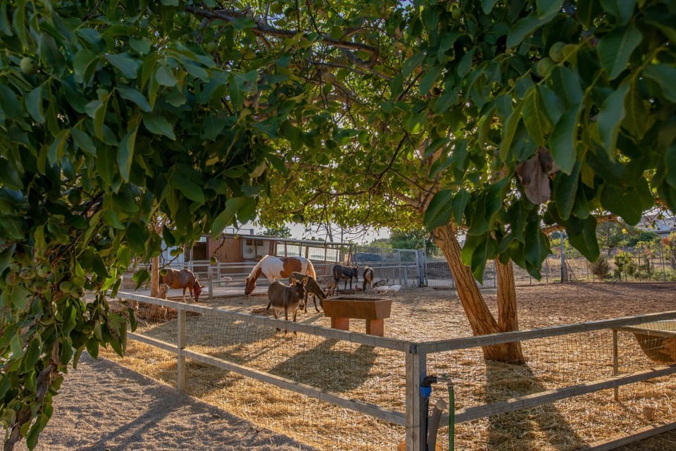 Natural landscape, Animals