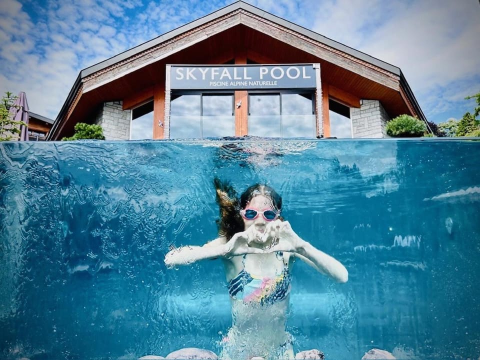 Hôtel Le Labrador 1971 Hotel in Les Gets