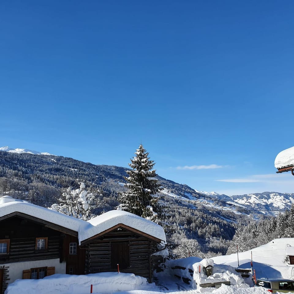 Neighbourhood, Winter