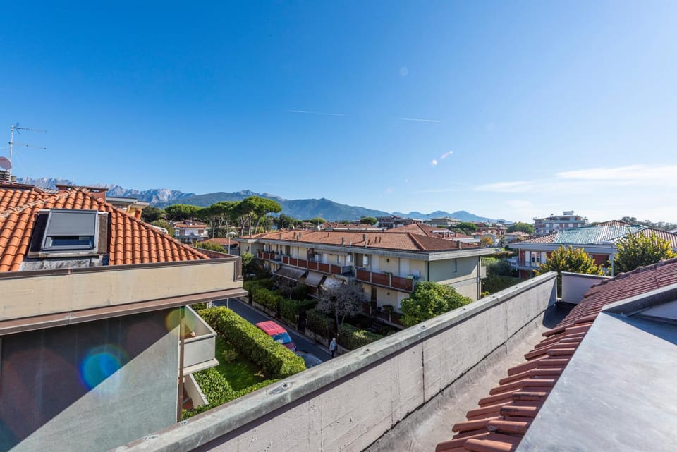 Neighbourhood, City view