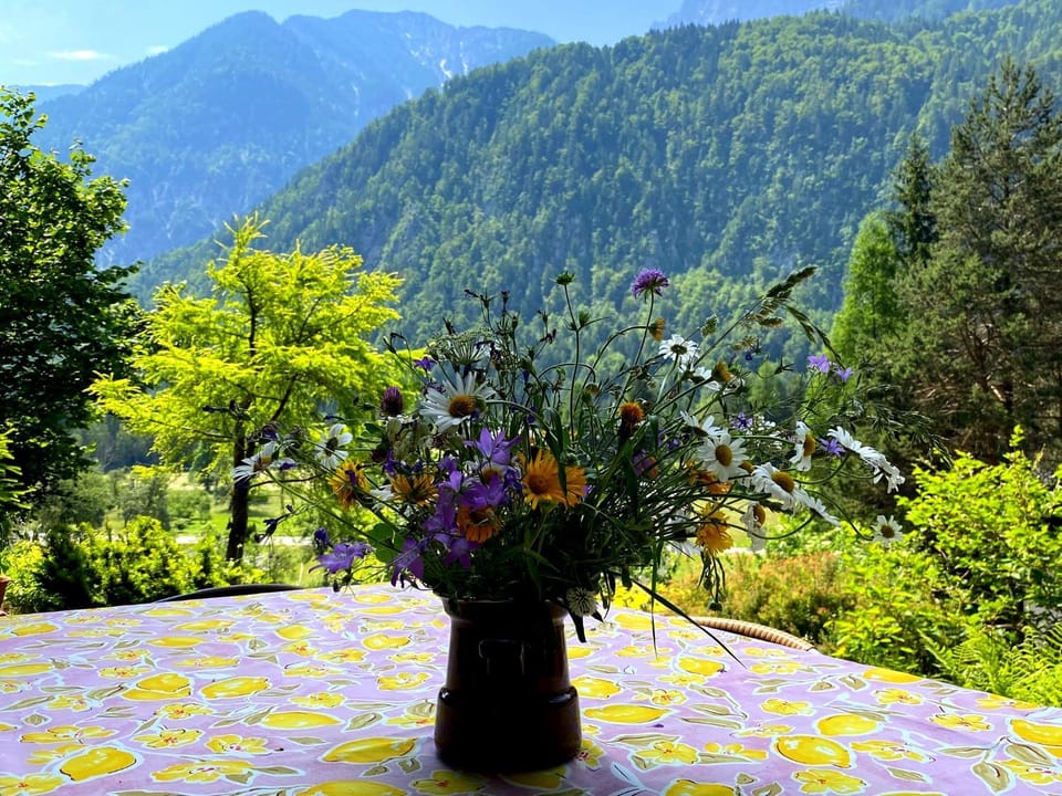 Balcony/Terrace, Mountain view