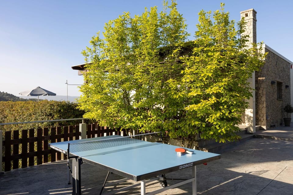 Table tennis