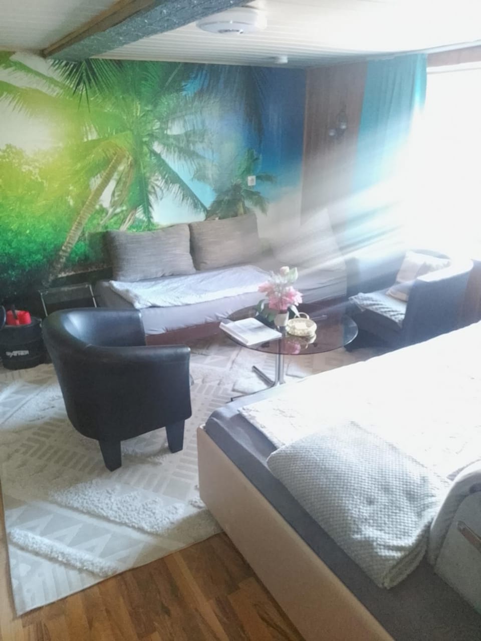 Ferienwohnung Wohnung Olsberg Apartment in Hochsauerlandkreis