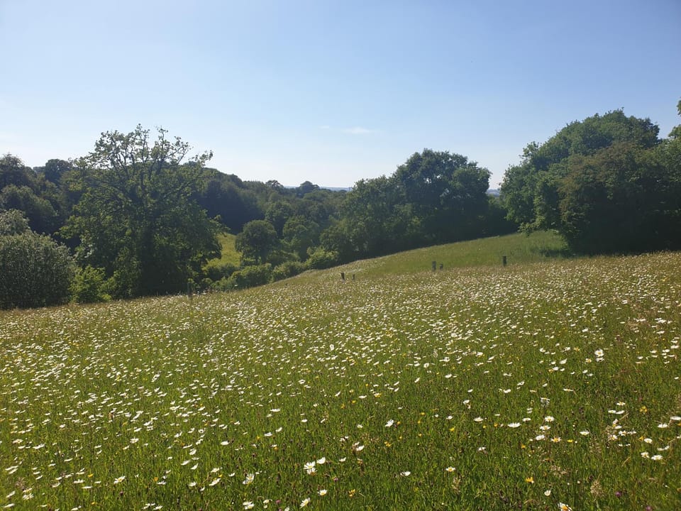 Natural landscape, Hiking
