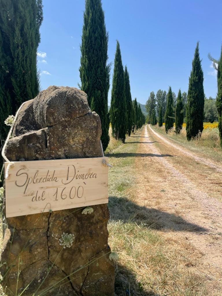 Natural landscape, Street view