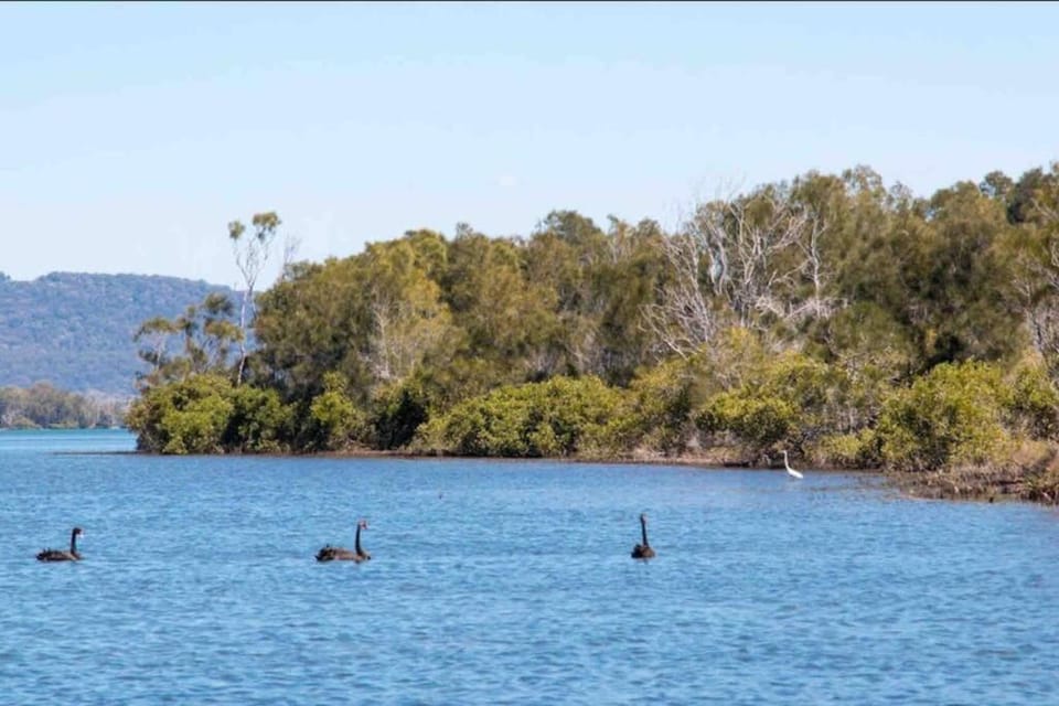 Natural landscape, Lake view
