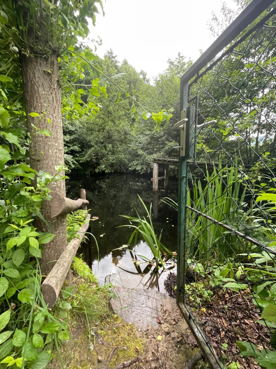 Garden, Open Air Bath