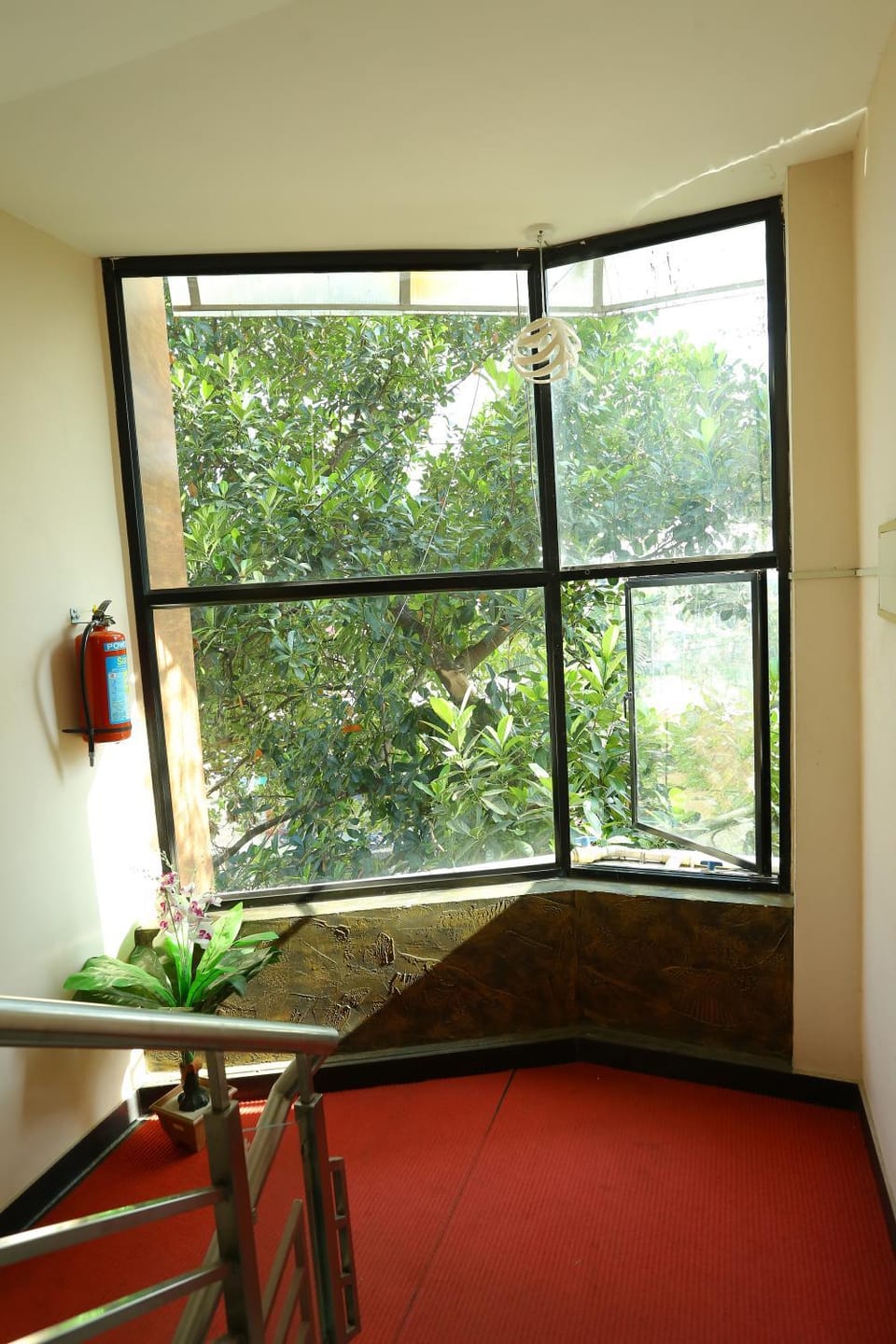 Garden view