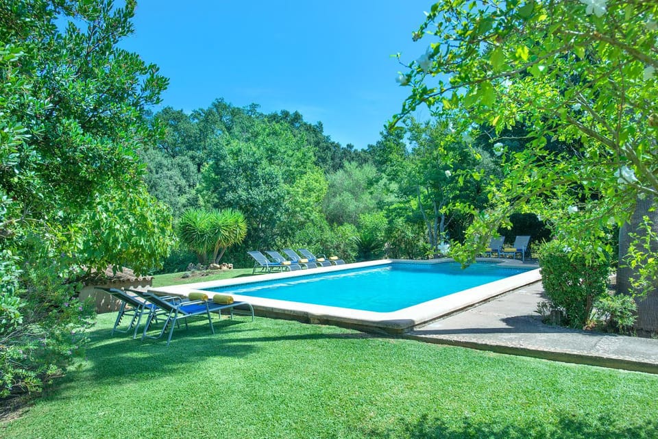 Garden, Swimming pool