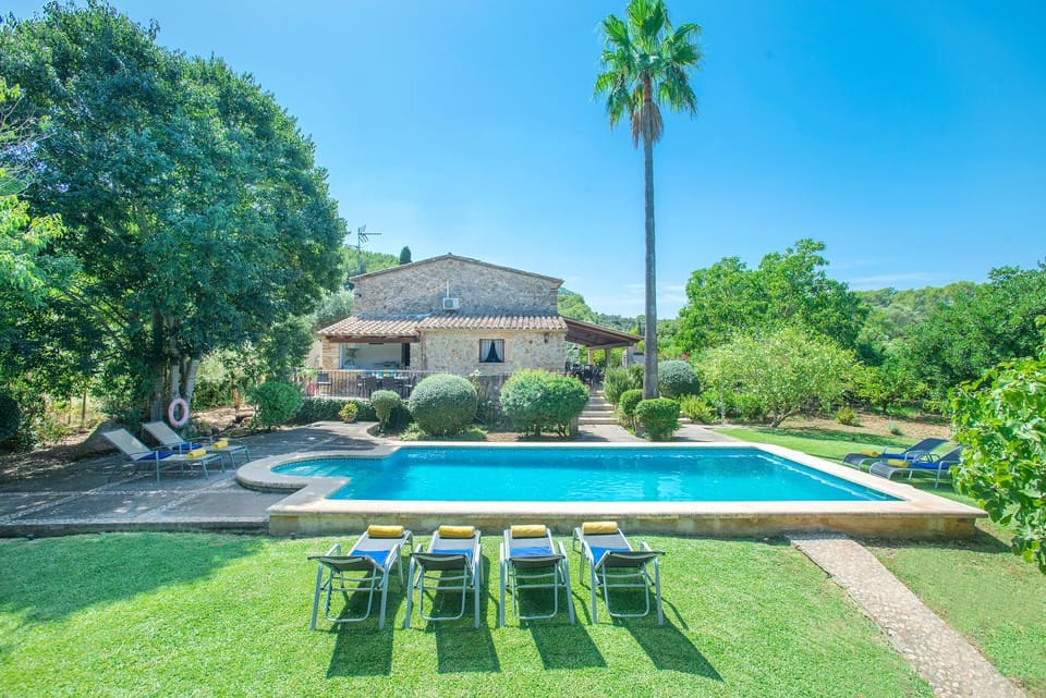 Garden, Swimming pool, sunbed