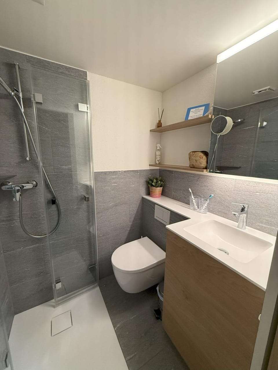 Shower, Toilet, Bathroom