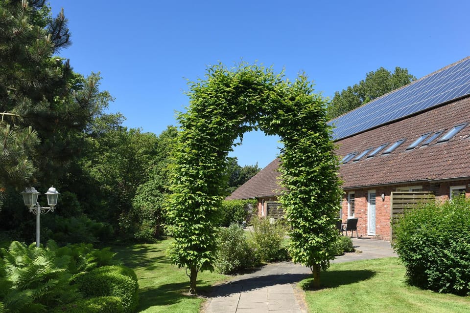 Property building, Garden