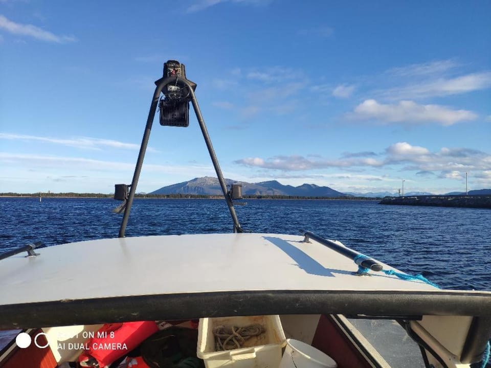 Airbnb and Booking at Postvegen 95 Vacation rental in Norway
