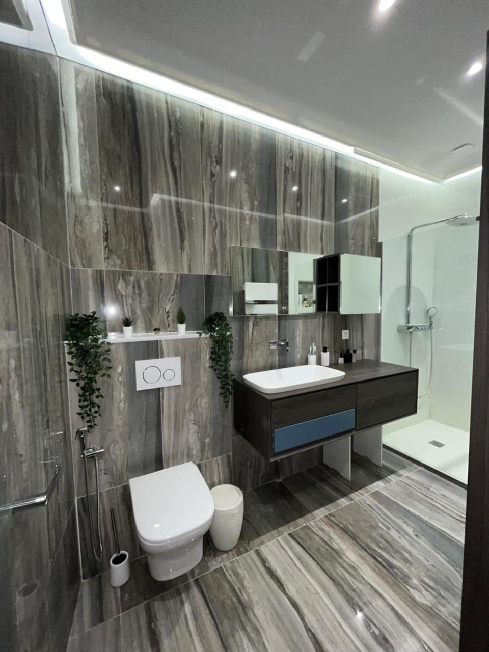 Shower, Toilet, Bathroom, towels