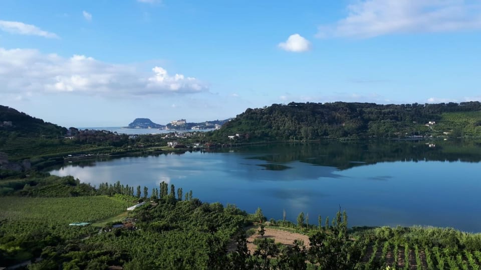 Property building, Kitchen or kitchenette, Living room