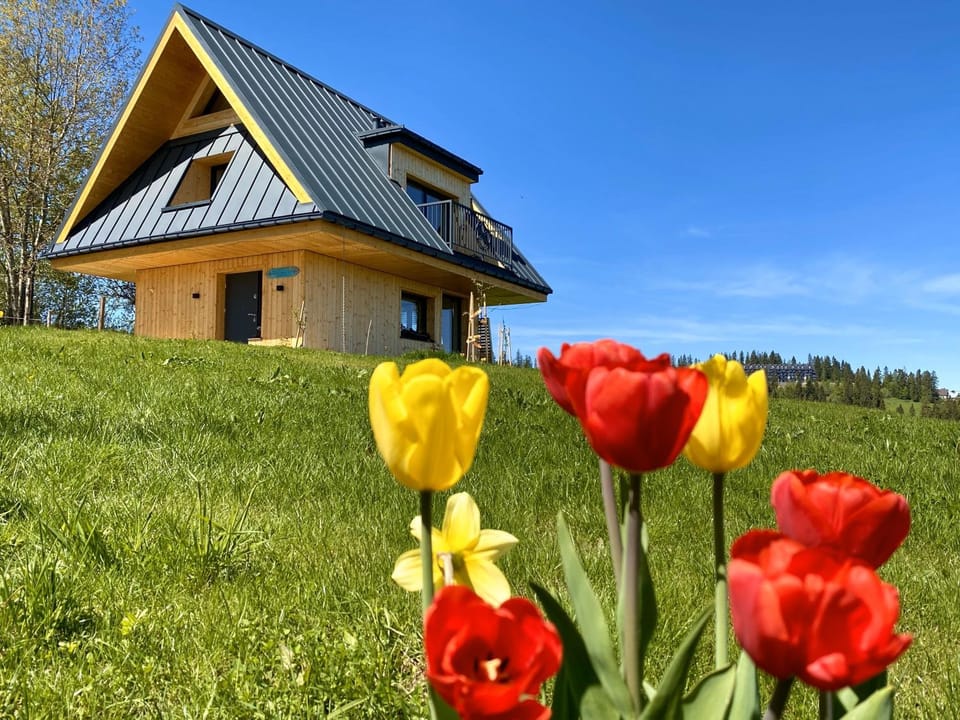 Property building, Spring, Day, Natural landscape, Garden, Garden view