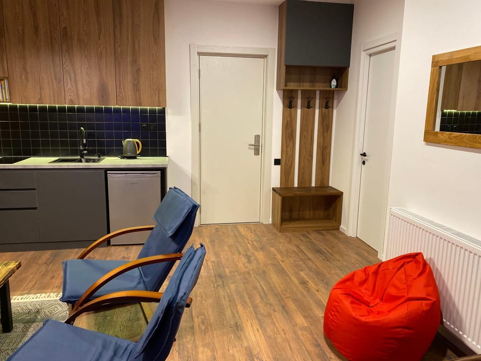 Kitchen or kitchenette, Living room, Seating area